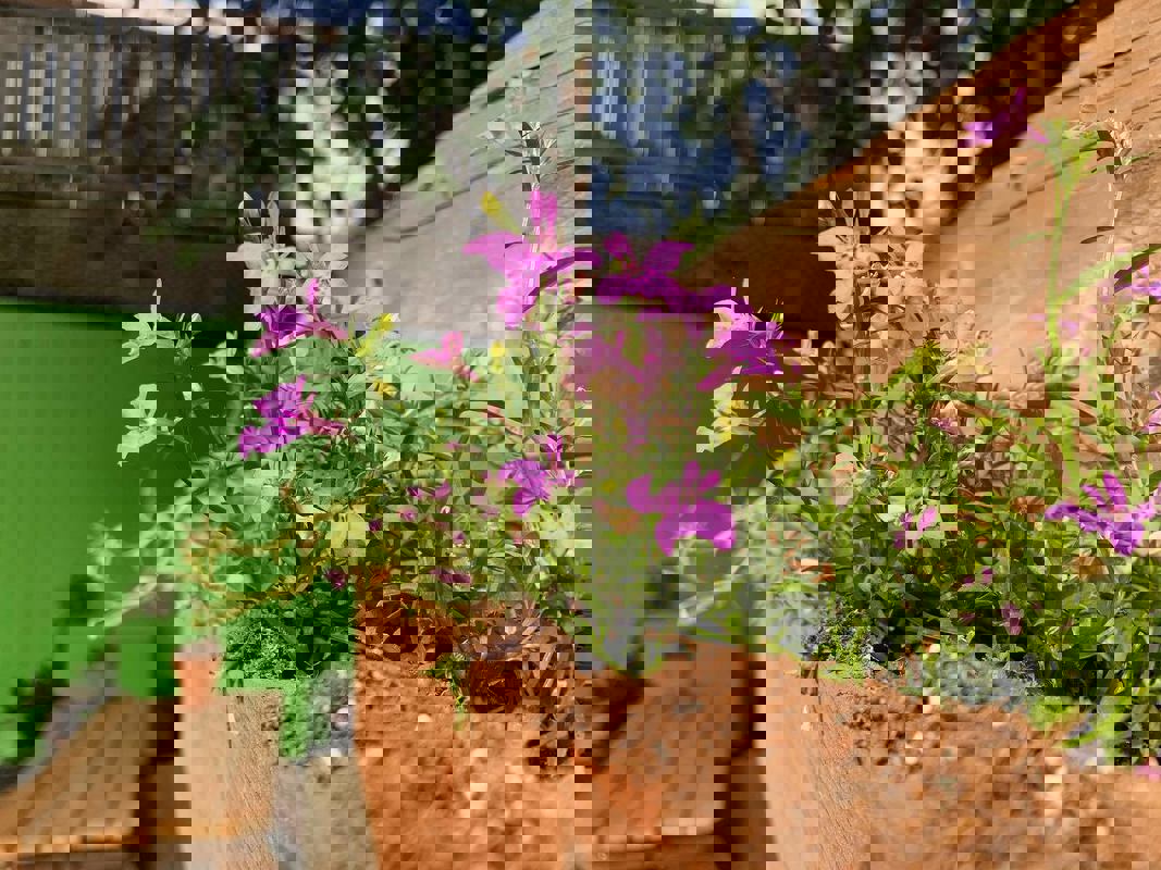 L'ENTRE-POTS Déjeuner dîner photo 1