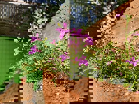 L'ENTRE-POTS Déjeuner dîner photo 1