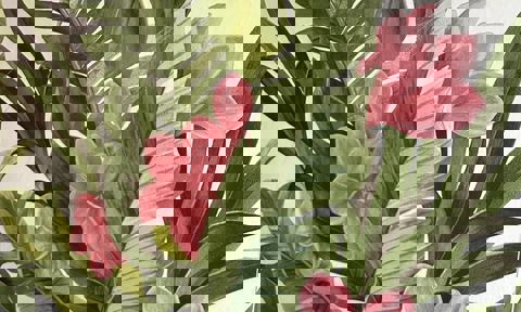 Tacos Tin Tan (St Henri) photo 1