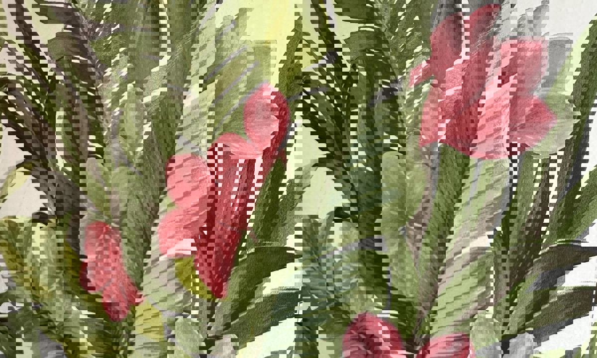 Tacos Tin Tan (Outremont) photo 1