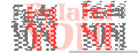 Falafel Yoni photo 1