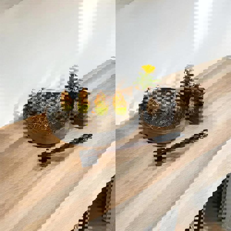 Hum - Sushi Ramen Dumpling photo 1