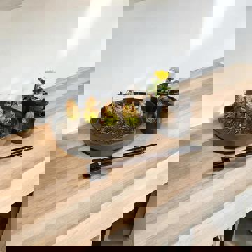 Hum - Sushi Ramen Dumpling photo 1