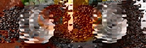 Krispy Kreme Café photo 1