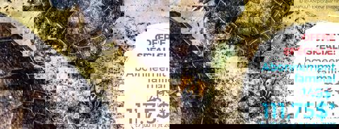 Les Amis du Biodôme photo 1