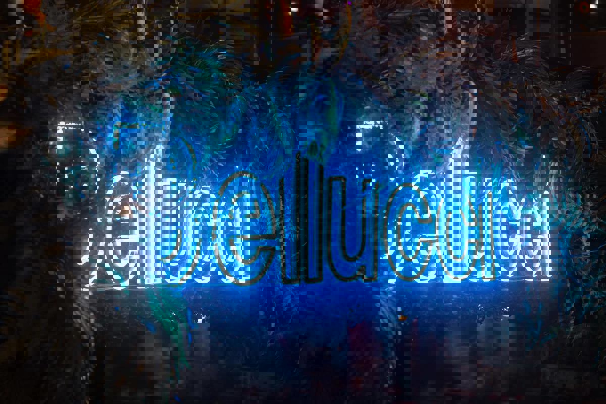 Bellucci Italia photo 1