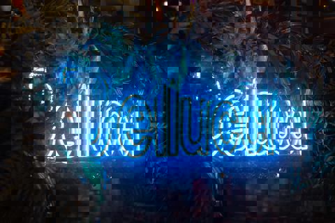 Bellucci Italia photo 1