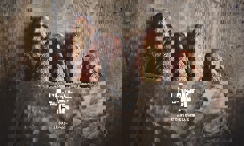 L'Amour du Pain Vieux-Montréal Maison Pépin photo 1