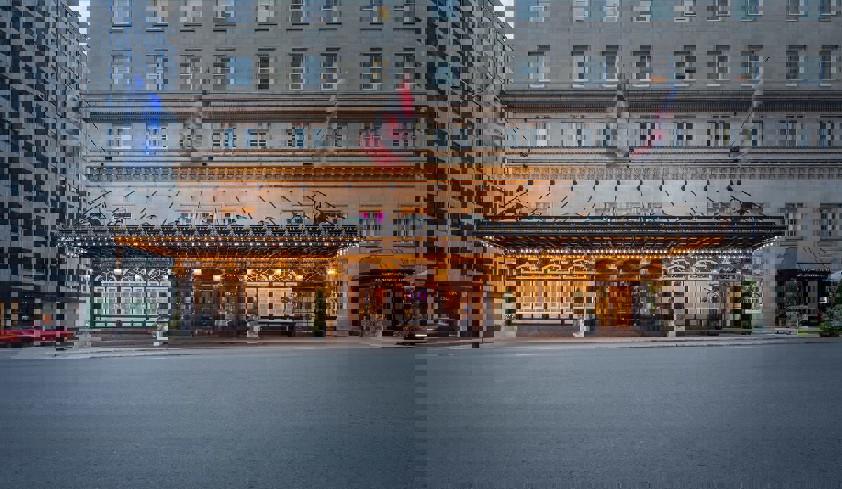 La Cour des Palmiers photo 1