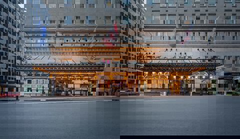 La Cour des Palmiers photo 1