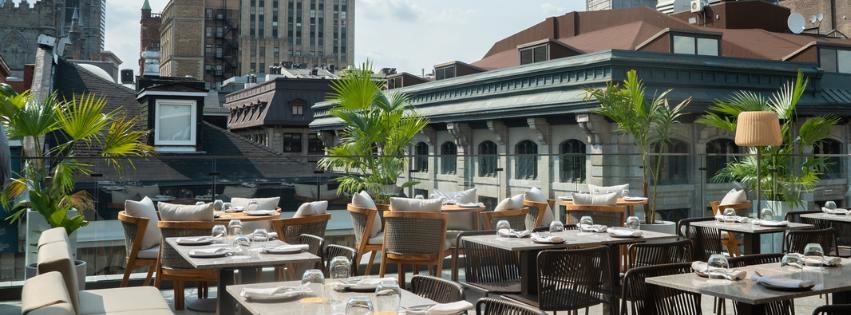 Terrasse Nelligan photo 1