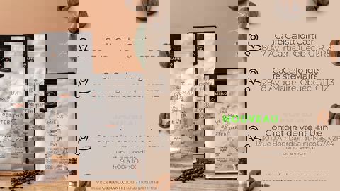 Café Castelo Inc photo 1