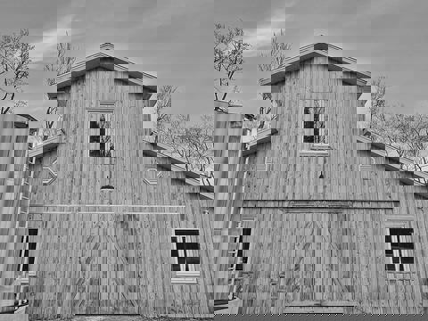 L'Érabrière - Artisan acéricole photo 1