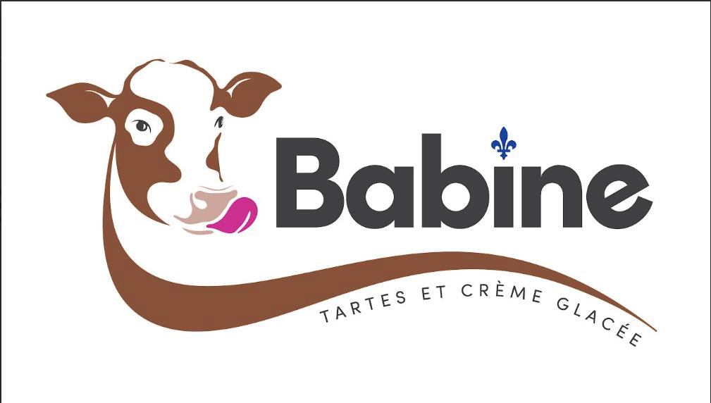 Babine - Tartes artisanales, crème glacée molle avec enrobages de chocolat belge photo 2