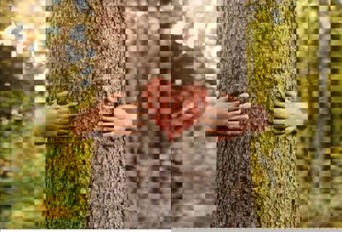 Le vol du colibri coop de solidarité photo 1