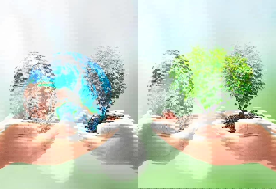 La croisée des saveurs photo 1