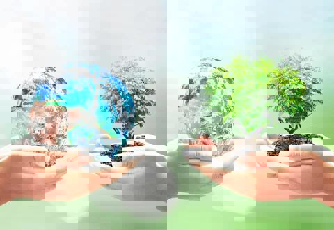 La croisée des saveurs photo 1