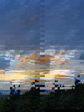 OUI OUI BUVETTE FORESTIÈRE photo 1