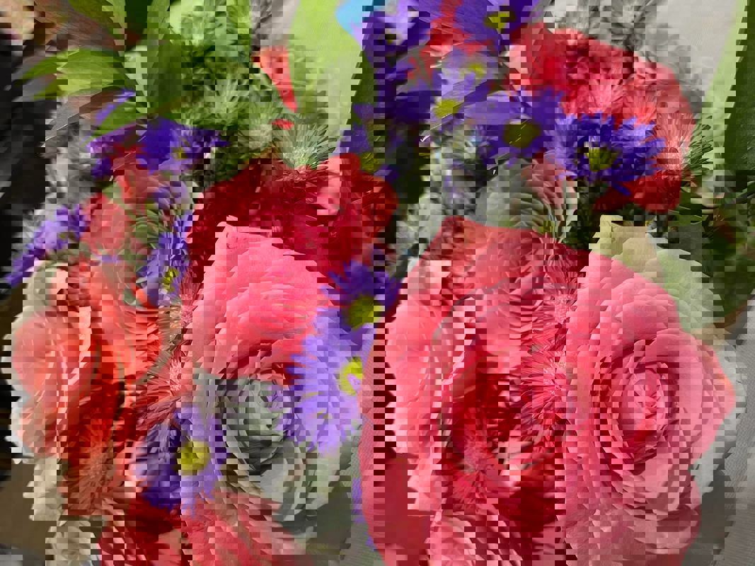 Pizza Mia (Marché Atwater) photo 1