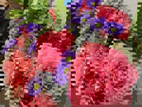 Pizza Mia (Marché Atwater) photo 1