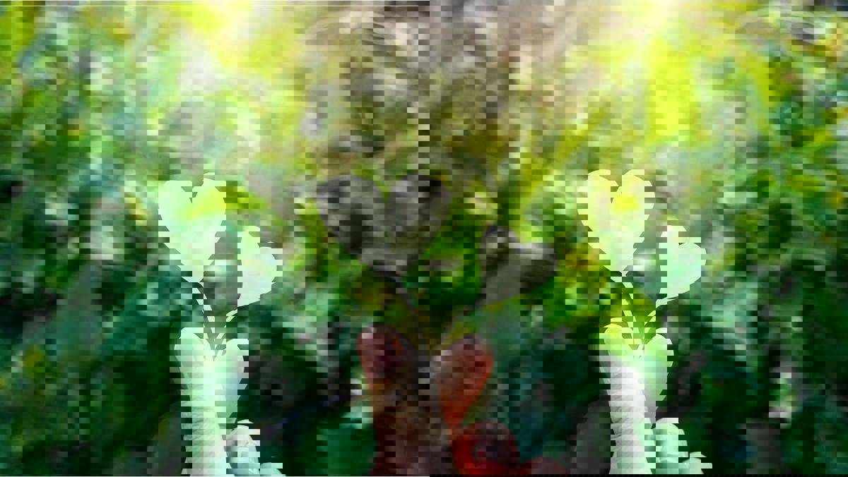 Les Délices De Pa pis Ma photo 1