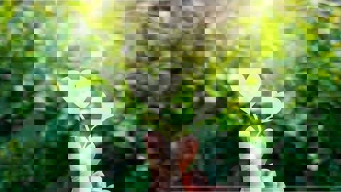 Les Délices De Pa pis Ma photo 1