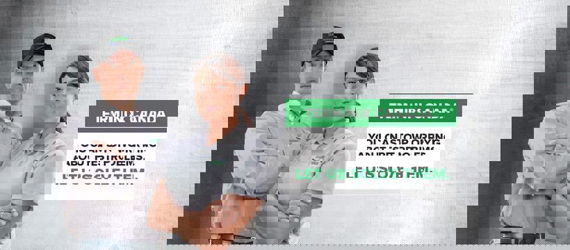 Terminix Canada Exterminateur Montréal photo 1