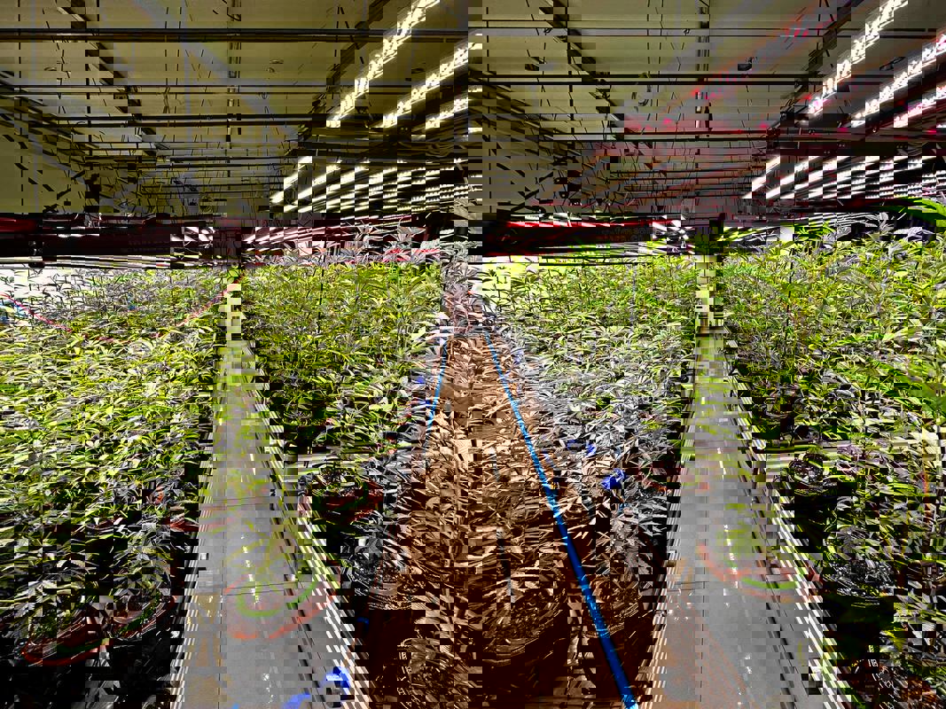 Casse-Croûte Chez Vic photo 1