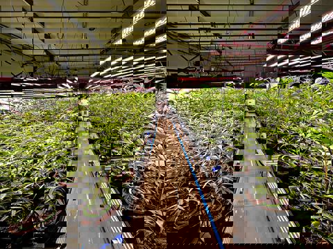 Au Coin Du Rocher photo 1