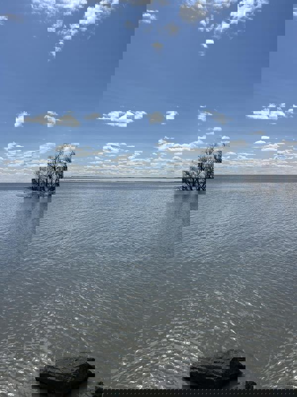 Terrasse Bar Le BAYOU photo 1