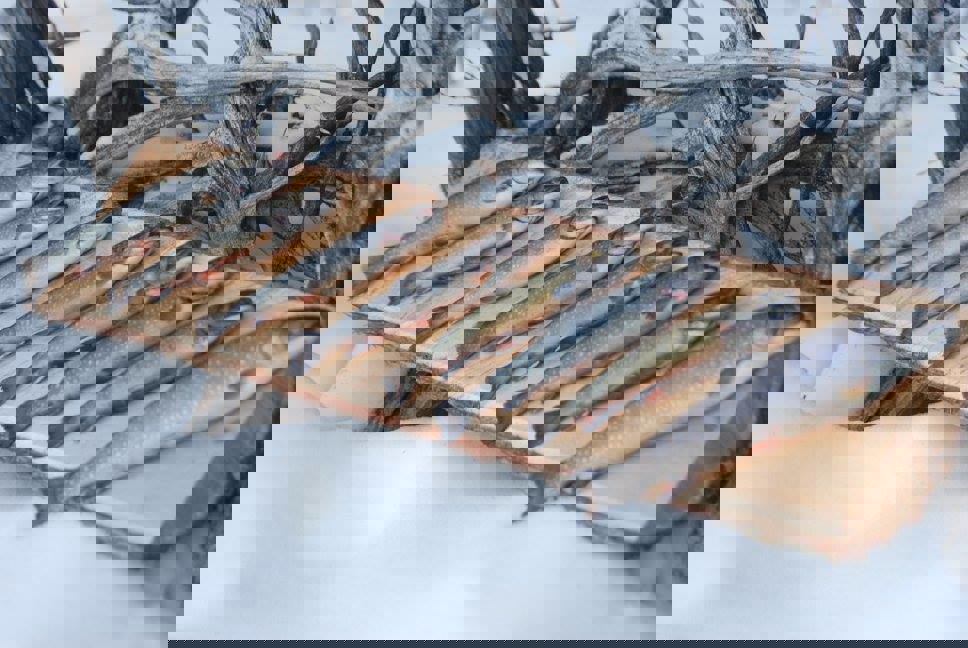 Squaw Lake Outfitter photo 1