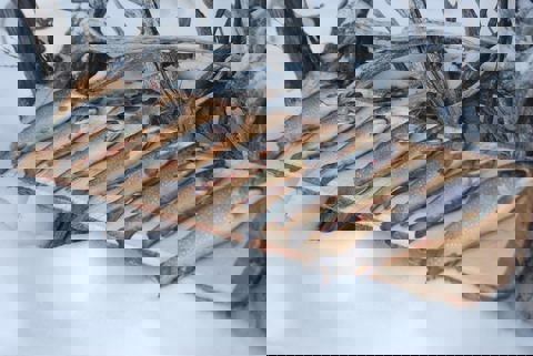 Squaw Lake Outfitter photo 1