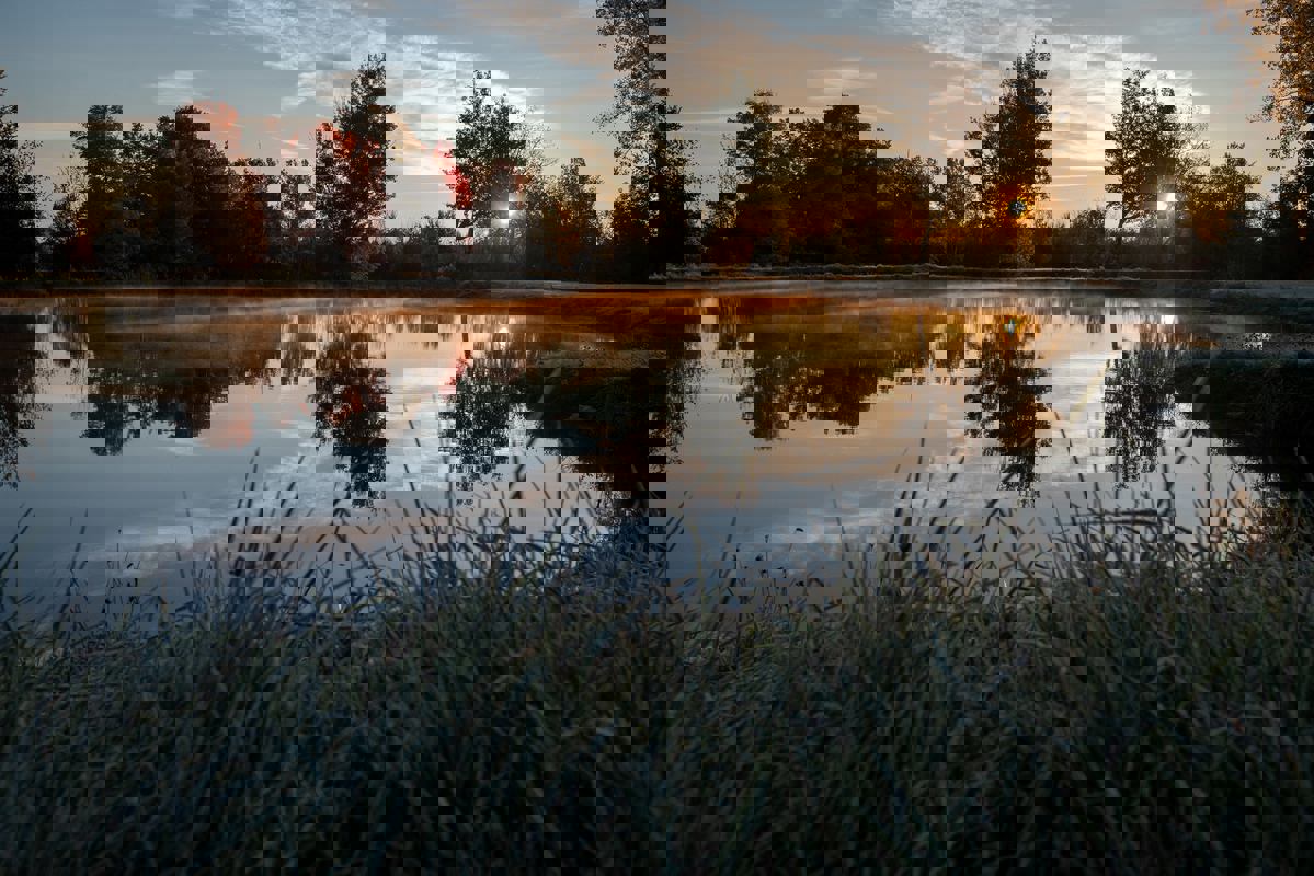 Club de la Roue du Roy photo 1