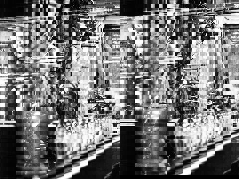 Dispensaire - Microbrasserie photo 1