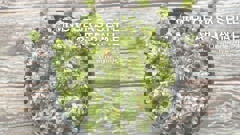 La Broue Barn - Microbrasserie Artisanale photo 1