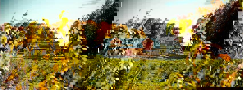 Argouseraie Quénébro photo 1