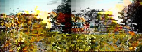 Argouseraie Quénébro photo 1