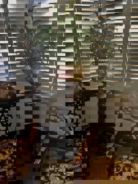 Casse Croute La Bonne Bouffe photo 1