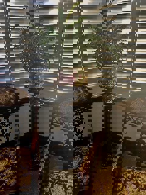 Café la Bougeotte photo 1