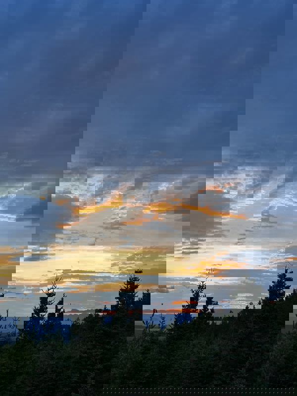 OUI OUI - CAFÉ photo 1