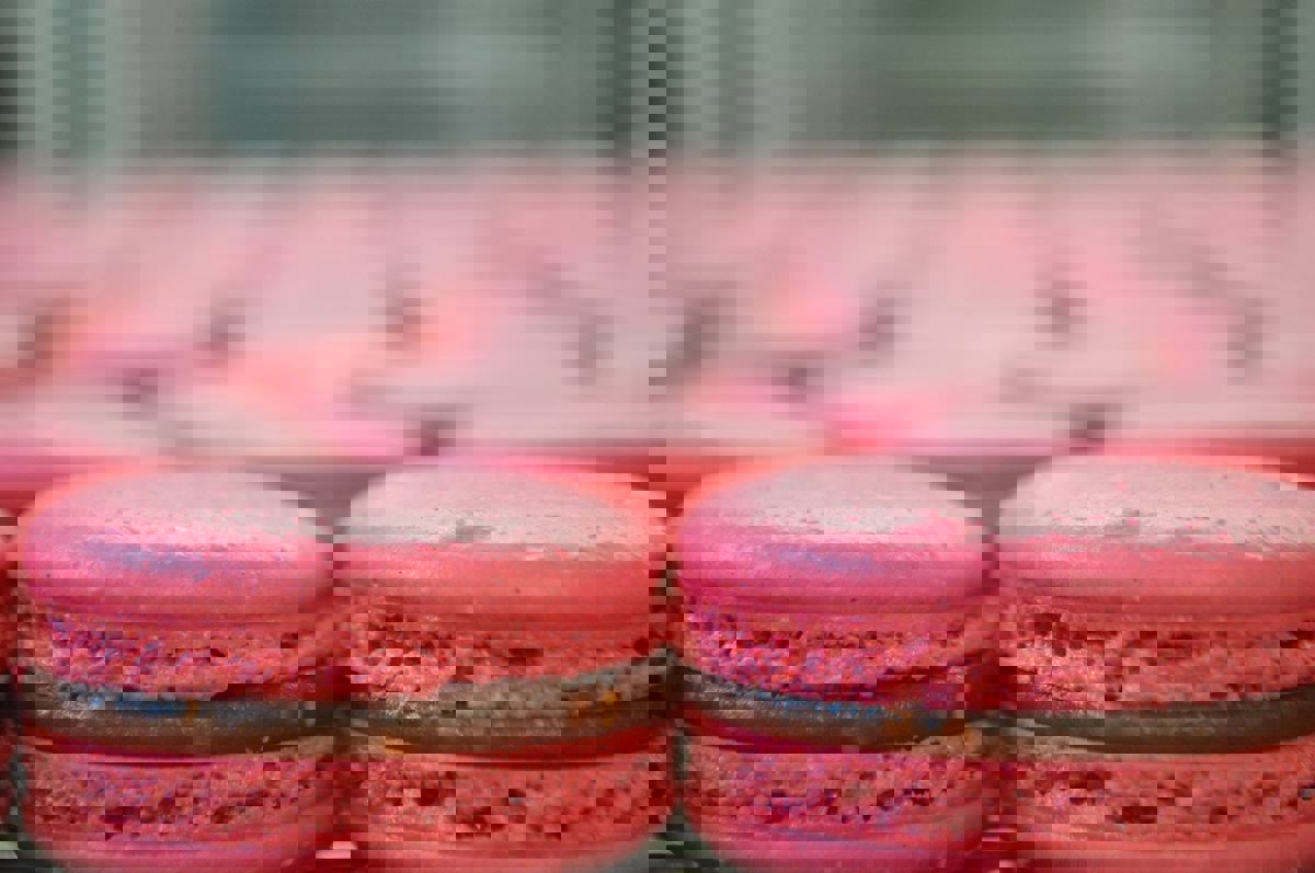 Praline et Chocolat photo 1