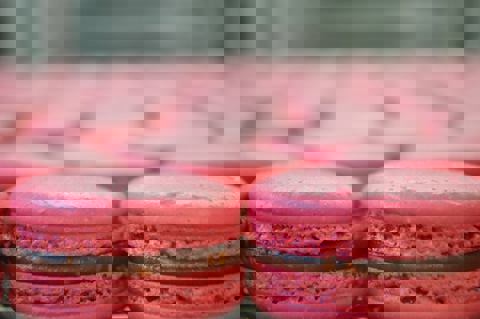 Praline et Chocolat photo 1