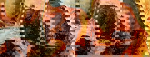 Café Starbucks photo 1