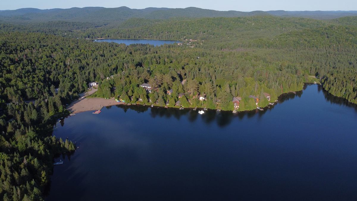 Café des Pins photo 1