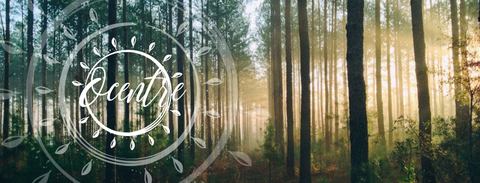 Connexion Émotion Énergie Équilibre photo 1