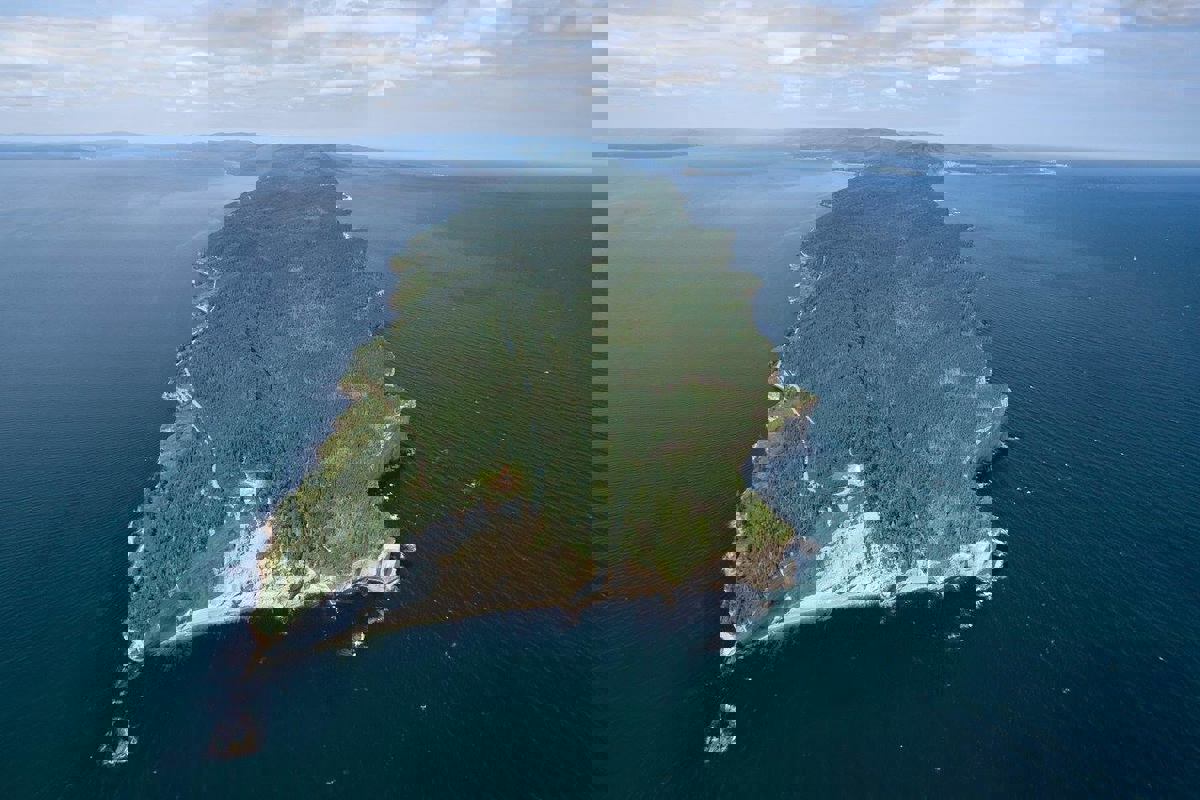 Microbrasserie Cap Gaspé photo 1