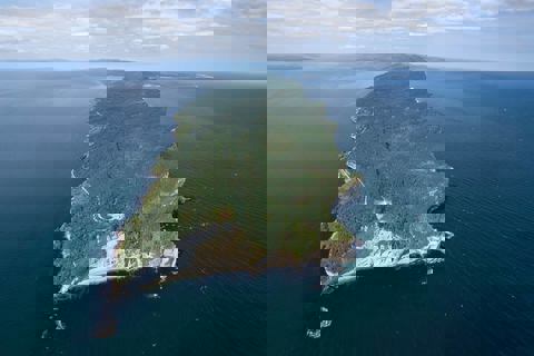 Microbrasserie Cap Gaspé photo 1