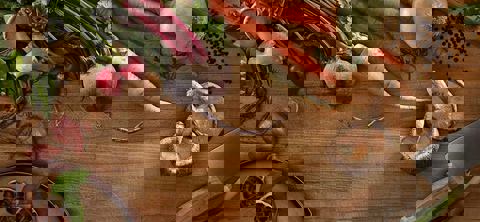 CFD Chef Francois Daoust photo 1