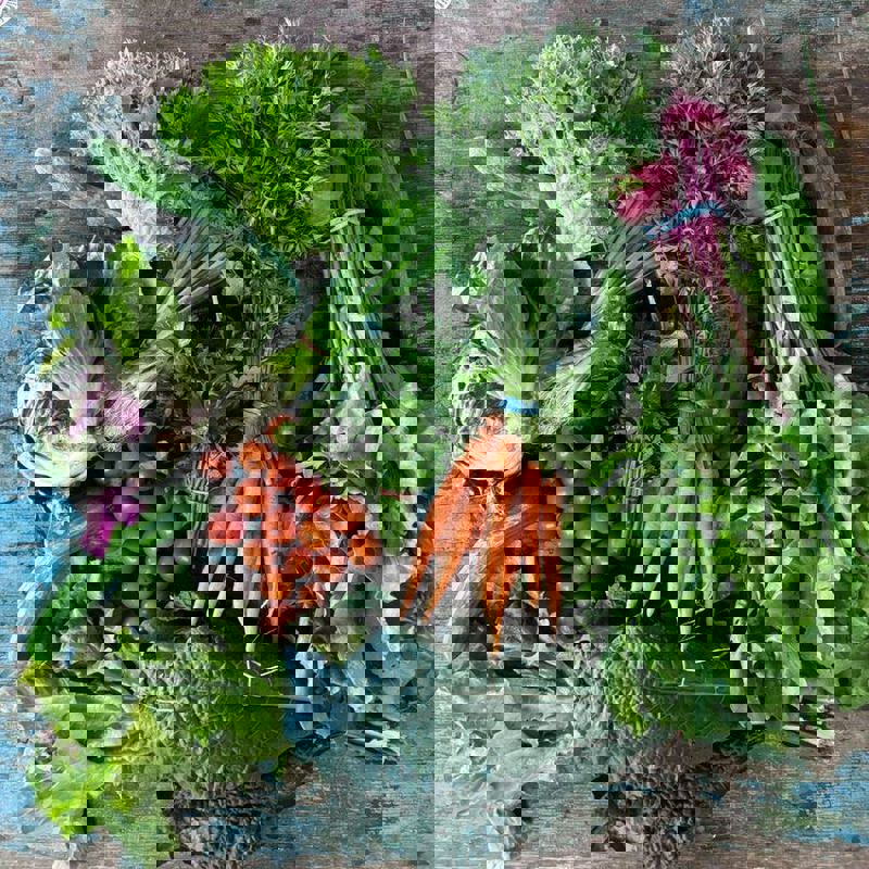 |FL| FATTOUSH LADY photo 1