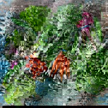 |FL| FATTOUSH LADY photo 1